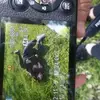 Lisa Cumerlato - @cumerlatolisa03 - TikTok