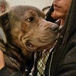 Lisa Dade - @lisa.dade.90 - Instagram