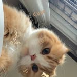 @lisa_dares - Instagram