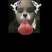 Lisa Dartt - Facebook