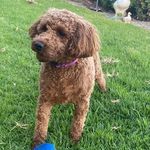 Lisa DeBolt - @deboltlm - Instagram