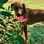 Lisa Deering Bixler - @lbixler2021 - Instagram