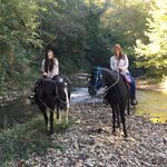 Lisa DeJong - @lisa.dejong.5205 - Instagram