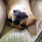 lisa demeter - @demeterlisa - Instagram