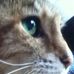 Lisa Loy Demeter - Facebook