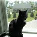 Lisa Dellinger - Facebook