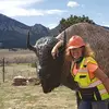lisadenlinger477 - @lisadenlinger477 - TikTok