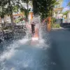 Lisa Denman - @lisa.denman3 - TikTok