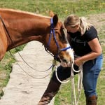 Lisa Cobussen - Derks - @lcobussen - Instagram