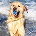 Lisa DeVinney - Facebook