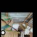 Lisa Dequito - Facebook