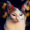 Lisa De Vos - @lisadevos1997 - TikTok