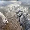 lisadevos01 - @lisadevos01 - TikTok