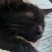 Lisa Snapp-dinsmore - Facebook