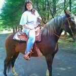 Lisa Dishman - @dishmangirl - Instagram