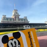 Lisa - Disney Travel Agent - @lisa_thetravelingmouse - Instagram