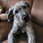 Lisa Diverty - @lisadiverty - Instagram