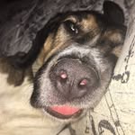 Lisa Doiron Zaikarite - @lisazaik - Instagram