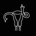 Lisa Dollinger - Facebook