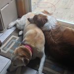 Lisa Donlon-Boissoneau - @donlon67 - Instagram