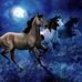 Lisa Donnell - Facebook