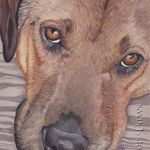 Lisa Doster - @artforpaws - Instagram