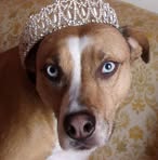 Lisa Doster - Facebook