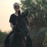 Lisa Dover Potash - @lilliput54 - Instagram