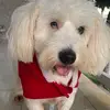 Lisa - @lisa_downs - TikTok