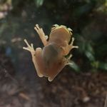 Lisa Drenning - @ljdrenning - Instagram