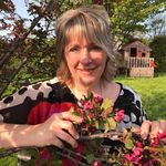 Lisa Drouin - @lisa.drouin.182 - Instagram
