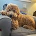 Lisa Dubin Hofferman - Facebook