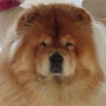 Lisa Duchman - @lisaduchman - Instagram