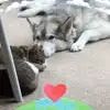 Lisa Duffin - @lisa.duffin12 - TikTok