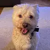 Lisa Duffin - @lisa.duffin - TikTok