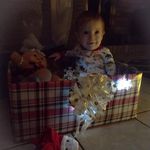 Lisa Dull Nicholson - @licoto2004 - Instagram