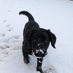 Lisa Durgin - @skibum80 - Instagram