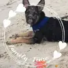 lisamariedurgin - @lisamariedurgin - TikTok