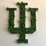 Lisa Effinger Eades - @lisaeades24 - Instagram