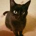 Lisa Eagle - Facebook