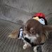 Lisa Eagle - Facebook
