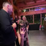 Lisa Earp - @lisamearp - Instagram