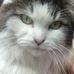 Lisa Earp - Facebook