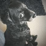 Lisa Earp - @lisa_m_earp - Instagram