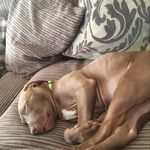 Lisa Farr Earp - @lisafarr1973 - Instagram