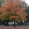 lisaeasterdaylowe - @lisaeasterdaylowe - TikTok