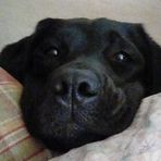 Lisa Eberly - Facebook