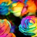 Lisa Ede - Facebook