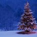 Lisa Edgell - Facebook