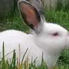 Lisa Edgell-gillings - @lisa.edgellgillin - TikTok